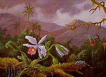 Orchids and Hummingbirds